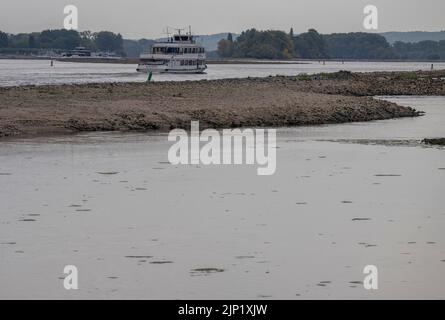 Bingen, Germania. 15th ago, 2022. Una nave naviga attraverso il Reno a Bingen in acque estremamente basse. Dopo settimane di siccità, i livelli delle acque sul Reno hanno raggiunto i minimi storici. Se i livelli dell'acqua continuano a diminuire, la navigazione rischia di arrestarsi. Credit: Boris Roessler/dpa/Alamy Live News Foto Stock