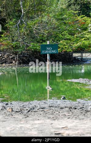 Brighton, Regno Unito. 15th ago, 2022. L'antico stagno sassone del villaggio di Falmer alla periferia di Brighton è completamente prosciugato, mentre le condizioni di caldo e siccità continuano nel sud-est: Credit Simon Dack/Alamy Live News Foto Stock