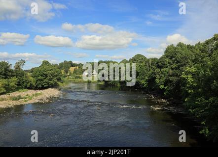 Il fiume Ribble vicino a Hurst Green nella Ribble Valley Lancashire in una serata estiva Inghilterra Foto Stock