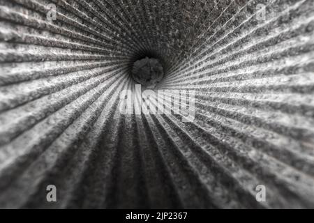 La vista giù la museruola di un 150mm Calibre TbtsK C/36 pistola marina che mostra il fucile alla batteria Longues-sur-Mer, Normandia, Francia. Foto Stock