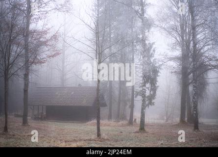 Cabina in legno di Lone in una misteriosa foresta nebbiosa Foto Stock