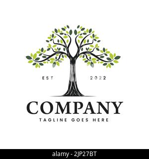 Illustrazione vintage del logo Family Tree of Life timbro Sigla silhouette Oak Banyan Maple logo disegno vettoriale Illustrazione Vettoriale