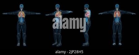 3d set di rappresentazione di raggi x del polmone del corpo umano maschio isolato su sfondo nero. Foto Stock