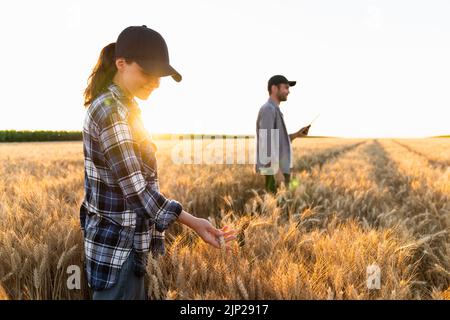 Un paio di agricoltori esamina il campo dei cereali e invia i dati alla nuvola dalla tavoletta. Agricoltura intelligente e agricoltura digitale. Foto Stock