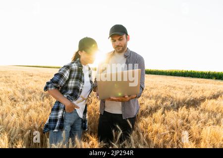 Un paio di agricoltori esamina il campo dei cereali e invia i dati al cloud dal tablet digitale e dal notebook. Agricoltura intelligente Foto Stock