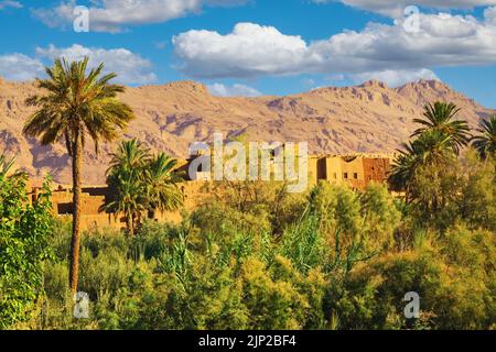 Bella idilliaca Atlas montagne palme oasi valle, tipica casa marocchina kasbah villaggio - Tinghir (Tinerhir), Marocco Foto Stock