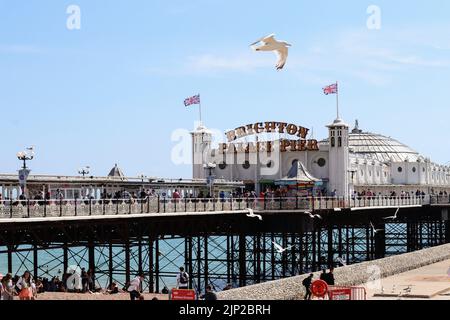 La gente si gode la spiaggia vicino al Brighton Palace Pier Foto Stock