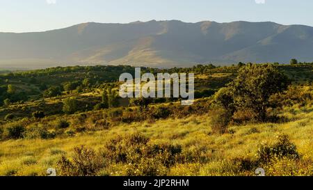 Verde paesaggio all'alba con montagne, piante e alberi. Riaza Segovia Foto Stock