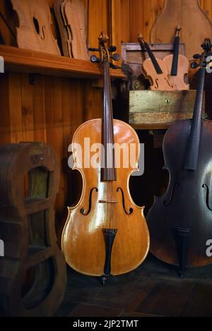 violoncello, strumentista, violoncello, strumentista Foto Stock