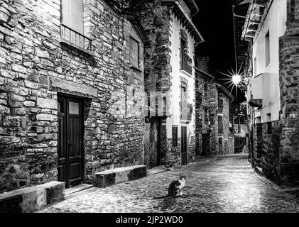 Gatto di notte guardando la macchina fotografica, in strada di case di pietra, villaggio di montagna. Architettura medievale. Bianco e nero. Foto Stock