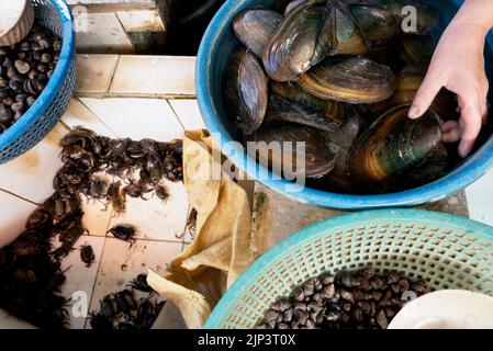 Cozze, granchi di conchiglia morbida e lumache nel mercato in Vietnam Foto Stock