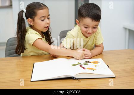 Bambini che fanno erbario. Bambini divertenti che organizzano i fiori pressati in un libro. Foto Stock