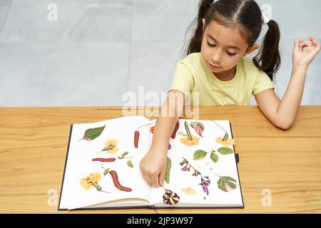 Bambino con fiori secchi che fanno erbario sul tavolo da pranzo in legno in casa. Fiori secchi pressati vista dall'alto. Foto Stock