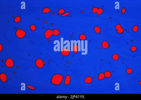 macchie di colore rosso su sfondo blu Foto Stock