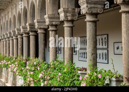 Archi, colonne e fiori, Coricancha, Convento de Santo Domingo del Cusco, Cusco, Perù Foto Stock