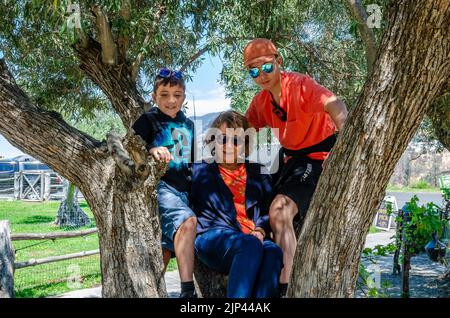 Due ragazzi postano per una fotografia con la nonna in un albero mentre sono in vacanza. Foto Stock