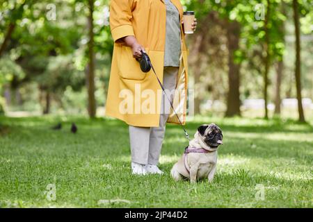 Tiro corto di donna irriconoscibile camminare carino pug cane sul guinzaglio nel parco verde, copia spazio Foto Stock