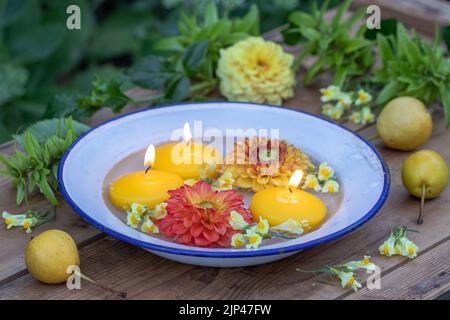 candele galleggianti e fiori di dahlia in smalto piatto in giardino Foto Stock