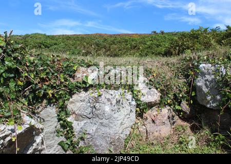 Cerchi di Ty Mawr Stone Hut Foto Stock