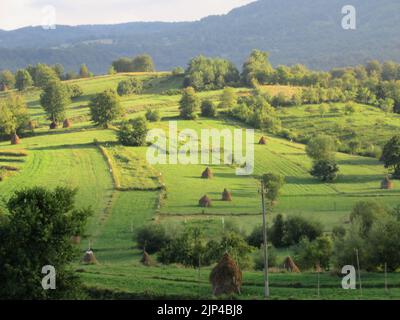 La Transilvania e le montagne dei Carpazi sono un parco giochi naturale incontaminato. Foto Stock
