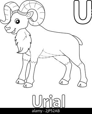 Urial Alphabet ABC colorazione pagina U Illustrazione Vettoriale