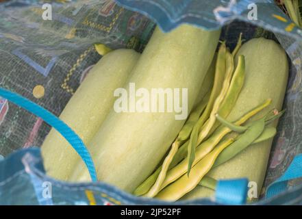 Zucchine e fagiolini in sacchetto - da sopra mazzo di zucchine mature e fagiolini verdi in sacchetto riutilizzabile Foto Stock