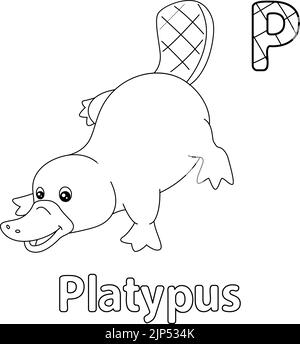 Platypus Alphabet ABC colorazione pagina P Illustrazione Vettoriale