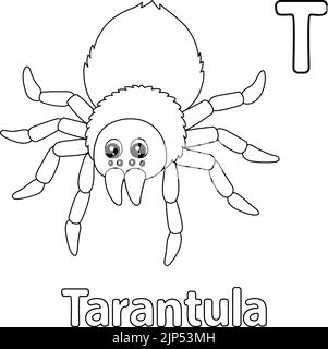 Tarantula Alphabet ABC colorazione pagina T Illustrazione Vettoriale