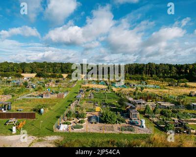 Veduta aerea degli allogamenti di Alwoodley nel nord di Leeds. Assegnazioni per giardinaggio vegetale e piante commestibili in crescita. Foto Stock