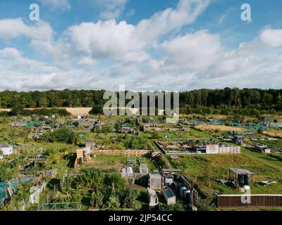 Veduta aerea degli allogamenti di Alwoodley nel nord di Leeds. Assegnazioni per giardinaggio vegetale e piante commestibili in crescita. Foto Stock