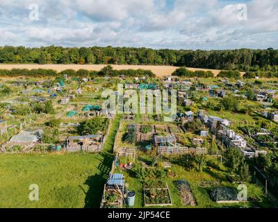 Veduta aerea degli allogamenti di Alwoodley nel nord di Leeds. Assegnazioni per giardinaggio vegetale e piante commestibili in crescita. Foto Stock