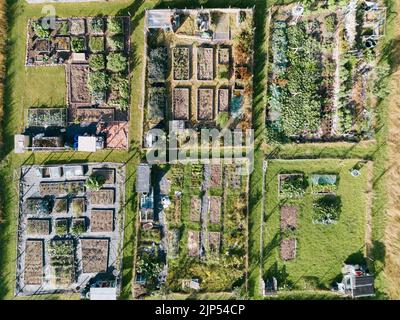 Veduta aerea degli allottamenti di Alwoodley a Leeds, West Yorkshire. Modello di letti vegetali sollevati sparati dal drone. Foto Stock