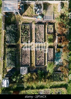 Veduta aerea degli allottamenti di Alwoodley a Leeds, West Yorkshire. Modello di letti vegetali sollevati sparati dal drone. Foto Stock