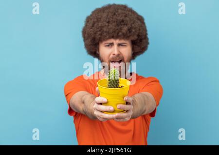 Ritratto dell'uomo con acconciatura afro che indossa una T-shirt arancione che sorregge il vaso di fiori gialli e il cactus, guardando la fotocamera con il volto accigliato. Studio in interni isolato su sfondo blu. Foto Stock