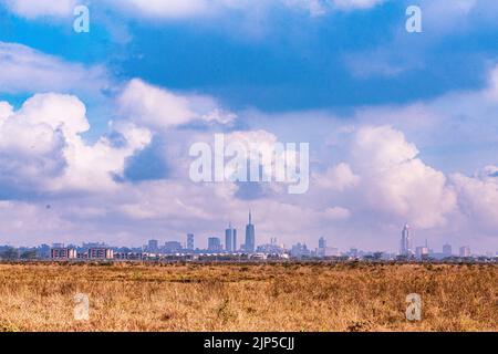 Nairobi City County National Park Birds Animals Wildlife savannah Grasslands Landscapes Panoramic Scenic Views Magical Kenya East Africa Discovery Exp Foto Stock