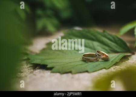 Due anelli di nozze si trovano su una foglia. Foto Stock