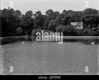 Il lago, Brynmill Park, Swansea (4785899) Foto Stock