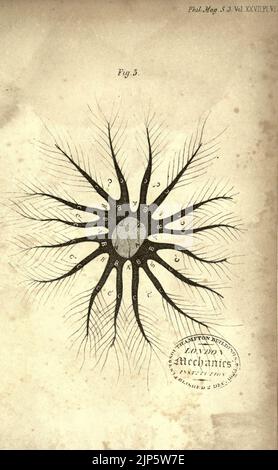 La rivista filosofica di Londra, Edimburgo e Dublino e la rivista scientifica Foto Stock