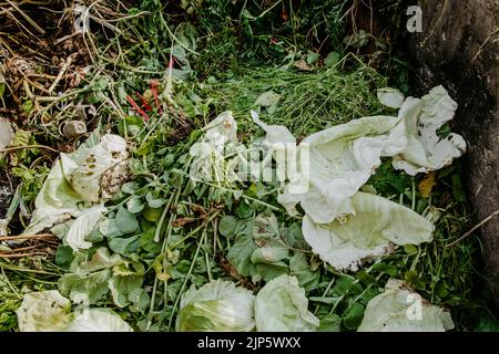 Buca di composto per spreco di cibo. Consumo ecologico, riciclaggio. Concetto di fertilizzanti organici per giardino. Foto Stock