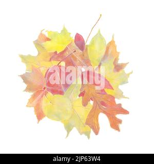 Acquerello immagine delle foglie colorate Autunno isolato su sfondo bianco Foto Stock