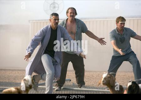 GEORGE CLOONEY, Jeff Bridges, EWAN MCGREGOR, gli uomini che guardano a capre, 2009 Foto Stock