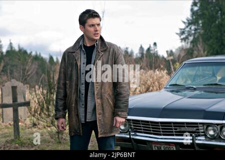 JENSEN ACKLES, SOPRANNATURALE : STAGIONE 5, 2009 Foto Stock