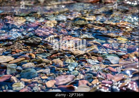 Arcobaleno rocce multicolore nel torrente delle valanghe che conduce verso il lago McDonald al Glacier National Park, Montana, USA Foto Stock