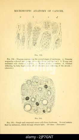 I principi e la pratica della chirurgia veterinaria Foto Stock