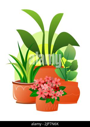 Piante e fiori interni. In pentole di ceramica. Ancora vita. Belle erbe fatte in casa. Isolato su sfondo bianco. Stile di divertimento cartone animato. Vettore. Illustrazione Vettoriale