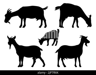 Set di capre che pascolano. Figura silhouette. Animali da fattoria. Animali destinati al latte e ai prodotti lattiero-caseari. Isolato su sfondo bianco. Vettore. Illustrazione Vettoriale