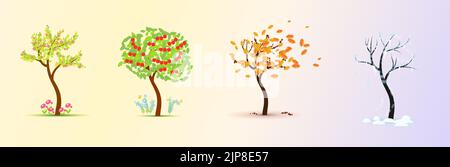 Stagioni. Albero in quattro fasi - primavera, estate, autunno, inverno. Vettore Illustrazione Vettoriale