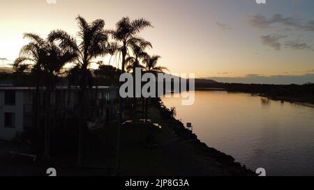 Una silhouette di palme accanto a edifici e un lago al tramonto Foto Stock