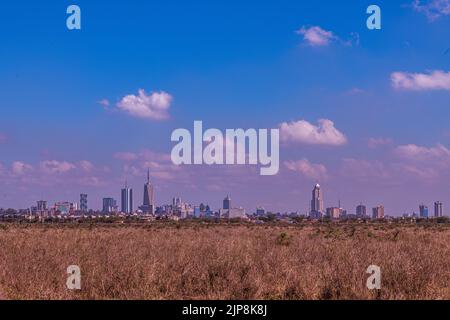 Nairobi City County National Park Birds Animals Wildlife savannah Grasslands Landscapes Panoramic Scenic Views Magical Kenya East Africa Discovery Exp Foto Stock