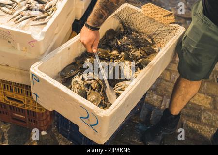 Mercato greco Kapani a Salonicco. Irriconoscibile pescatore caucasico tatuato che mostra contenitore bianco pieno di granchi appena catturati alla fotocamera. Foto di alta qualità Foto Stock